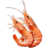 Seafood