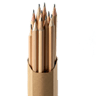 እስክሪፕቶር